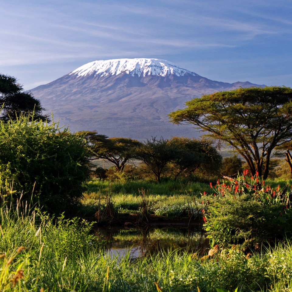 Northern Circuit Runde auf den Kilimanjaro 